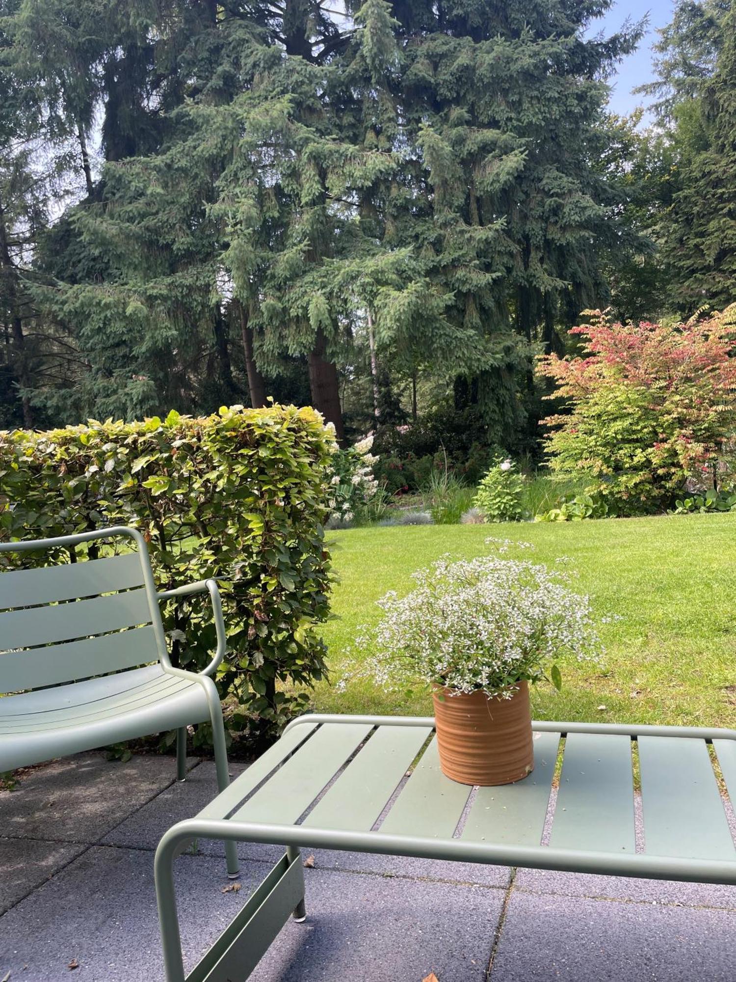 Witte Berken Natuurhotel Epe Exterior photo